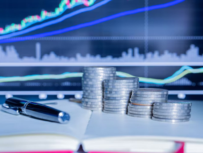 Viabilidad económica